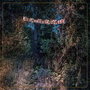 The accidental falls